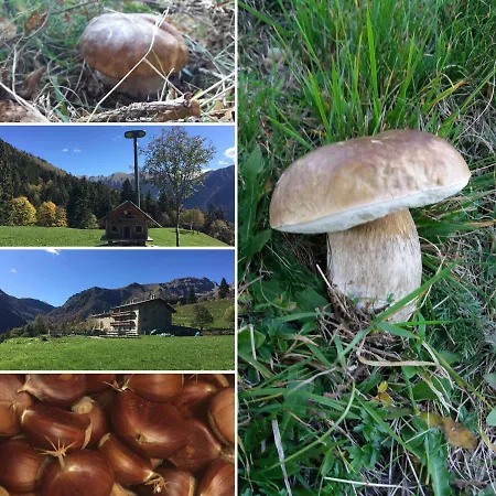 Agriturismo Ca' Di Racc Farm stay *